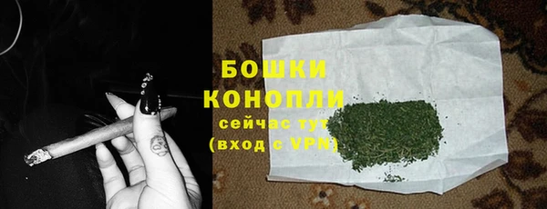 соль ск Артём