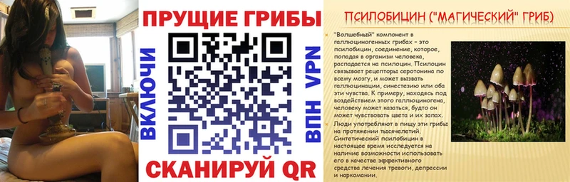 закладка  Волоколамск  Галлюциногенные грибы Magic Shrooms 